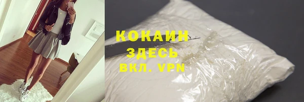 амф Верхний Тагил