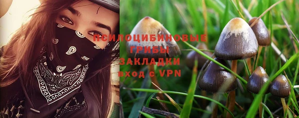 марки nbome Верея